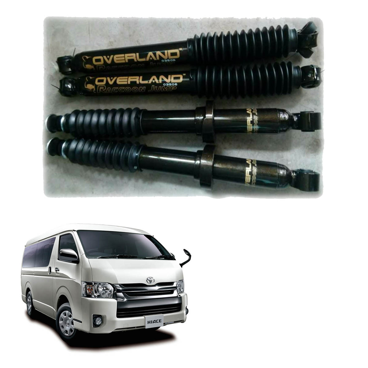 バンブー　exoto TS-OV-078-2.jpg
