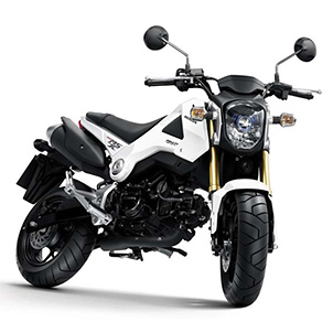 ホンダ MSX 125 GROM MSX125 2012 - 2015 ガードヘッド ランプ ライト カバー TYGA MSX125 race exhausts
